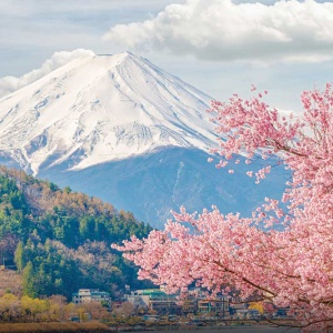 TOKYO - NAGOYA - KYOTO - OSAKA (HOA ANH ĐÀO)